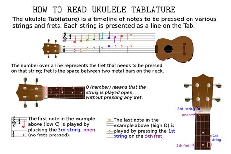 How to Read Ukulele Music: A Guide to Understanding the Notes and Rhythms